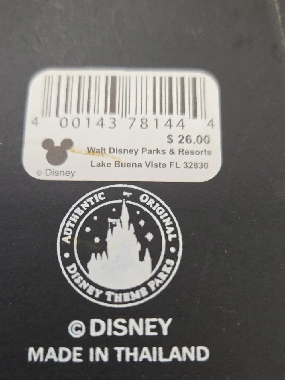 Walt Disney World Picture Frame